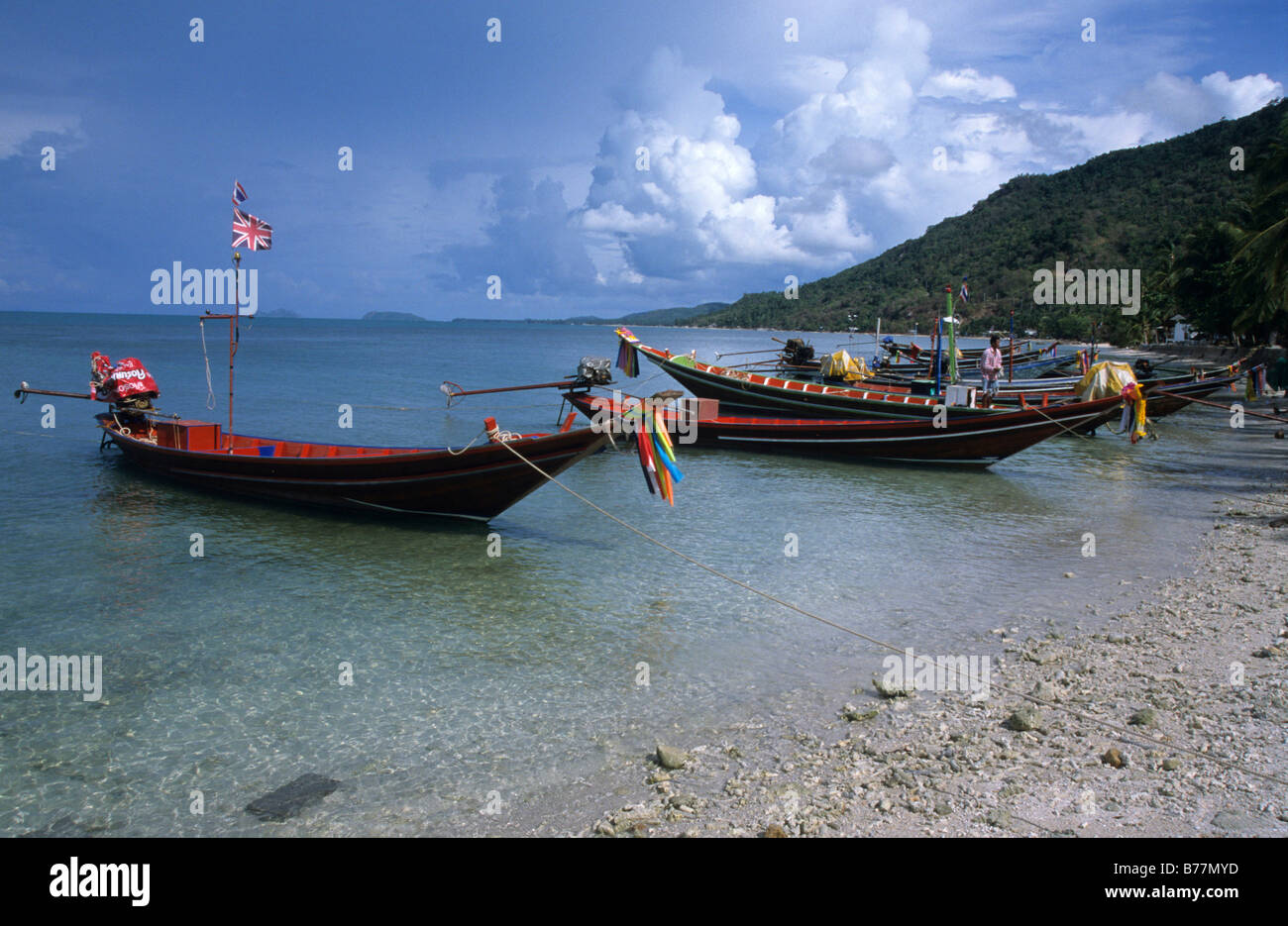 Des bateaux de pêche, bateaux longtail dans Hat Rin Harbour, île de Koh Pha Ngan, en Thaïlande, en Asie Banque D'Images