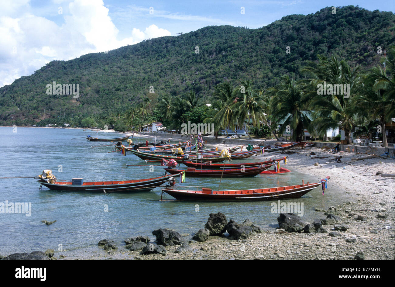 Des bateaux de pêche, bateaux longtail dans Hat Rin Harbour, île de Koh Pha Ngan, en Thaïlande, en Asie Banque D'Images