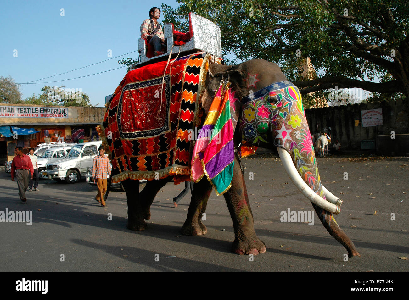 Décoré à l'éléphant du Festival Gangaur à Jaipur, Rajasthan, Inde, Asie Banque D'Images