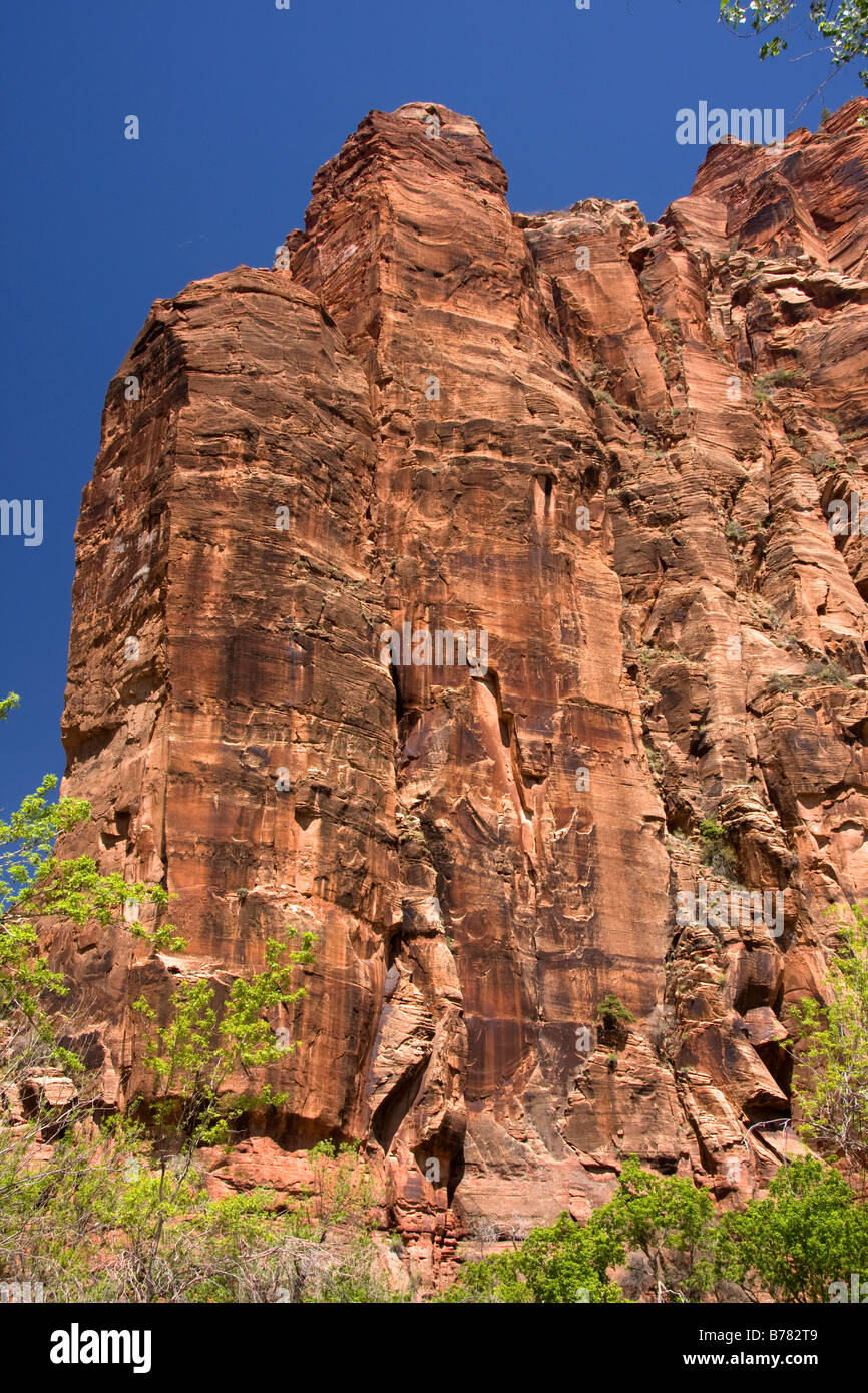 Un contrefort rocheux dans la région de Zion Canyon Zion National Park Utah Banque D'Images