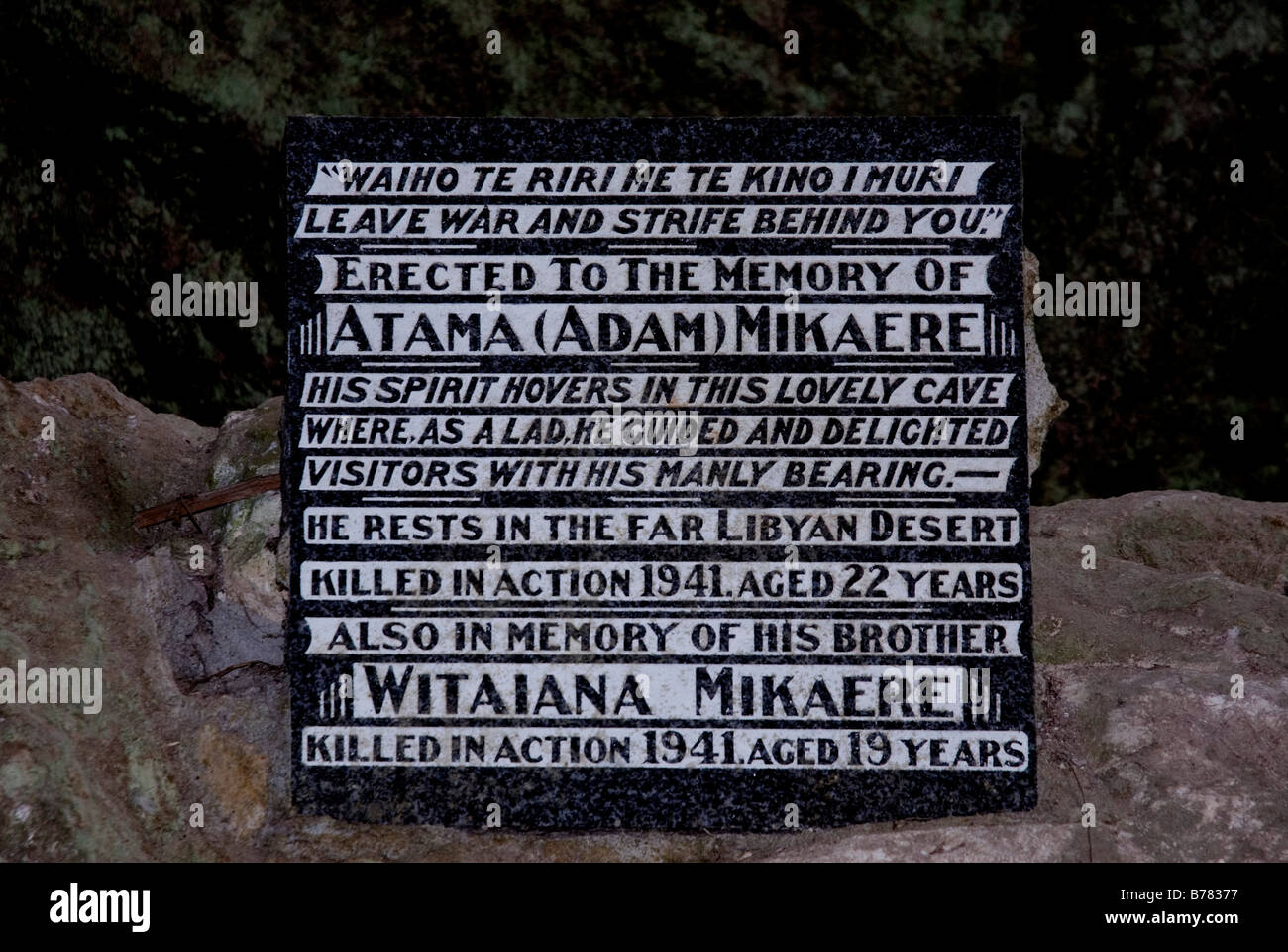 Monument à Ruatapu Orakei Korako, Grotte, La vallée cachée, près de Taupo, Nouvelle-Zélande Banque D'Images
