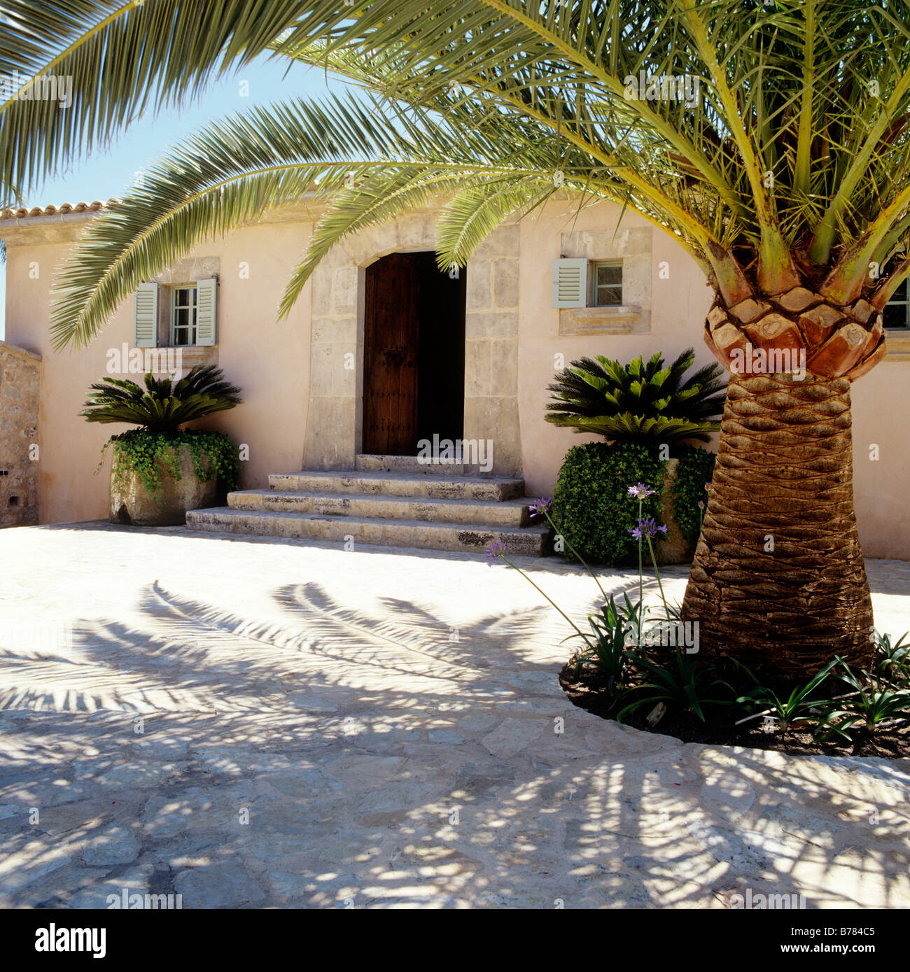 Finca majorquine restaurée de l'extérieur / villa avec cour et palm tree Banque D'Images