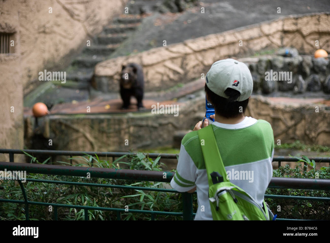 Jeune garçon japonais de photographier un ours au zoo en utilisant un téléphone cellulaire sur sortie scolaire Banque D'Images