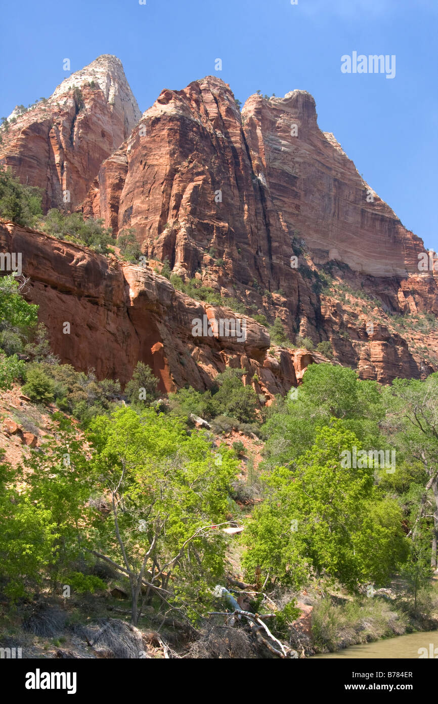 Les parois verticales de Zion Canyon dans le parc national de Zion dans l'Utah Banque D'Images