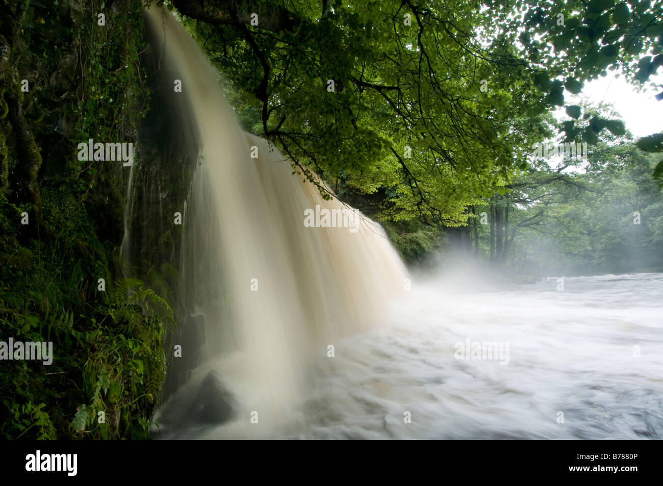 Sgwd Ddwli, Afon Nedd Fechan, au Pays de Galles Banque D'Images