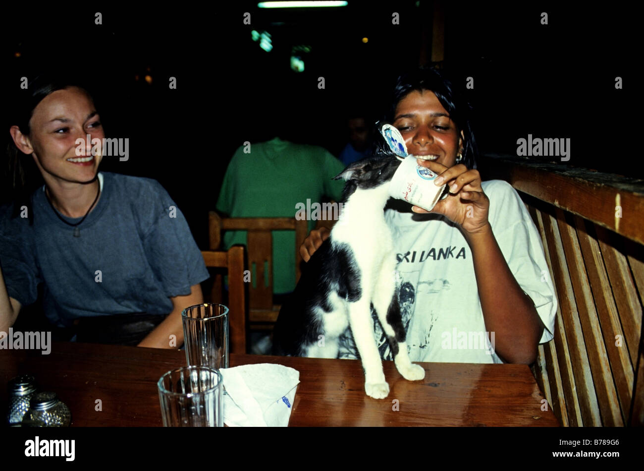 Les voyageurs nourrir un chat affamé dans un backpacker restaurant dans la ville de la mer rouge, Hurghada , Egypte. Banque D'Images
