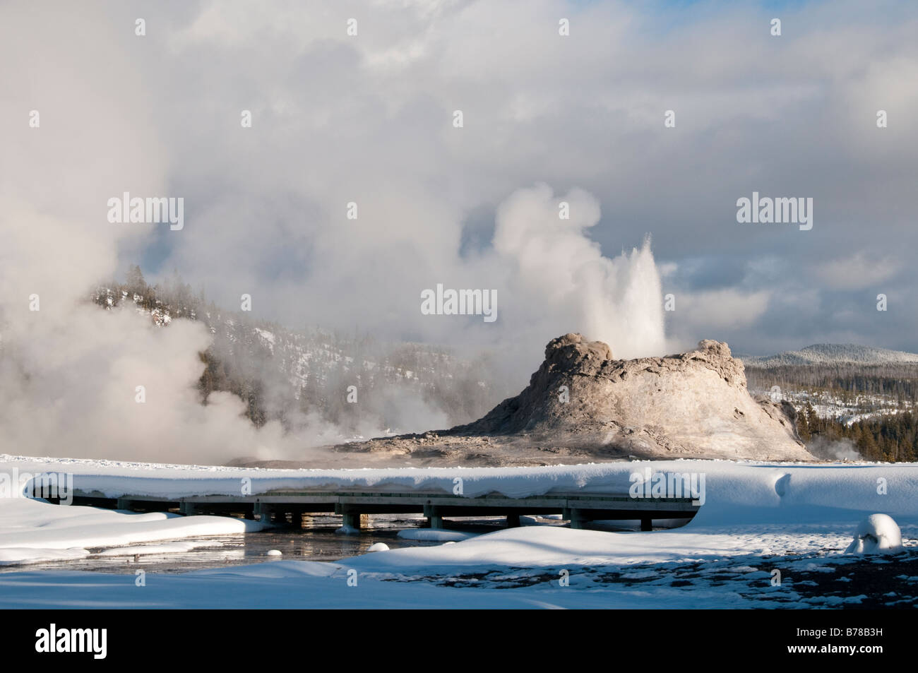 Castle Geyser, hiver, Upper Geyser Basin, Parc National de Yellowstone, Wyoming. Banque D'Images