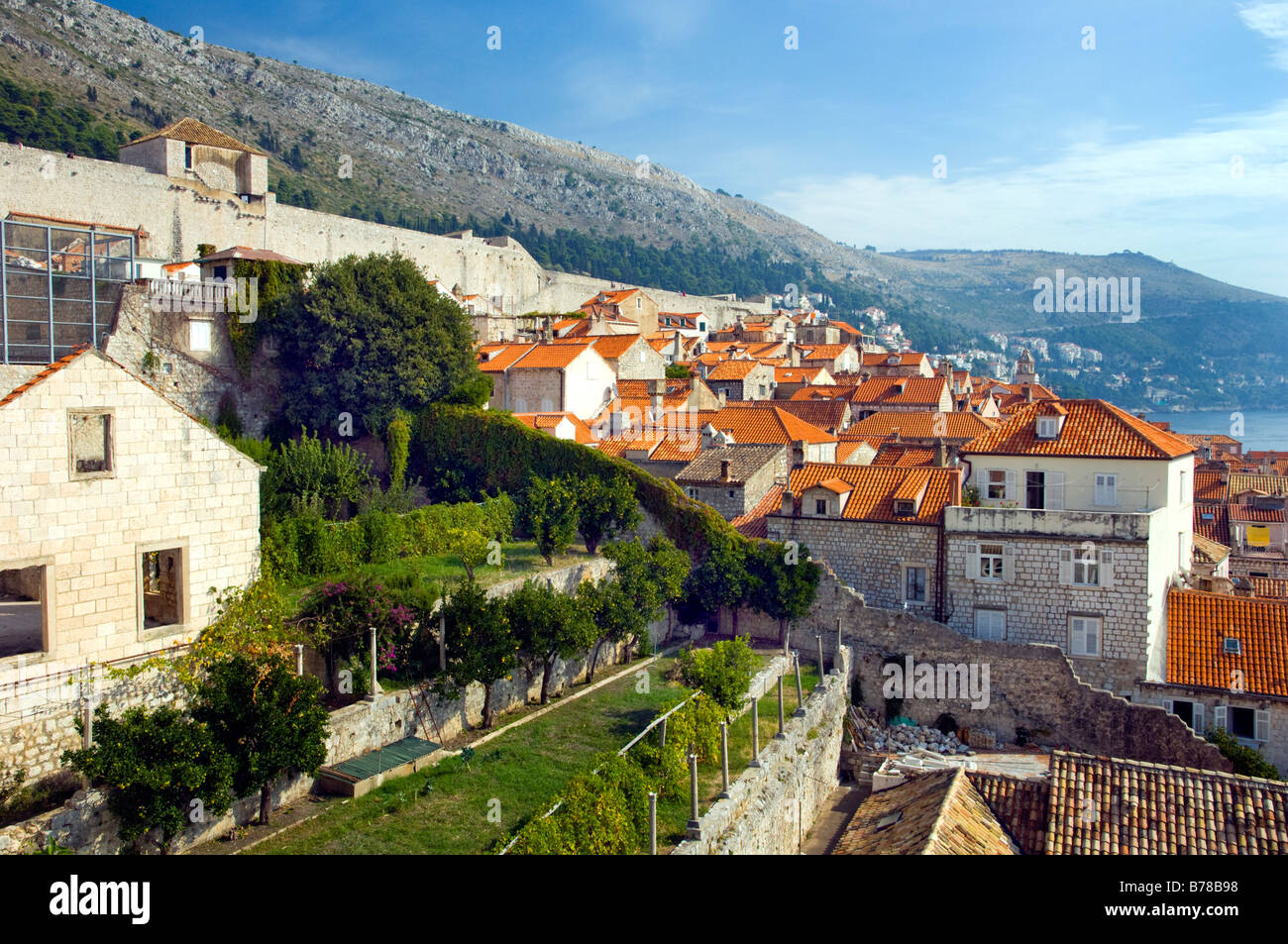 Les toits orange de la vieille ville de Dubrovnik en vue des murs de la ville Banque D'Images