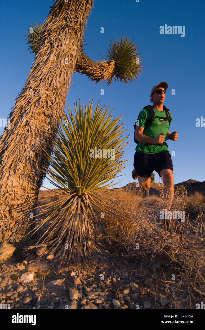 Un homme qui court par un Joshua Tree au coucher du soleil près de Lone Pine en Californie Banque D'Images