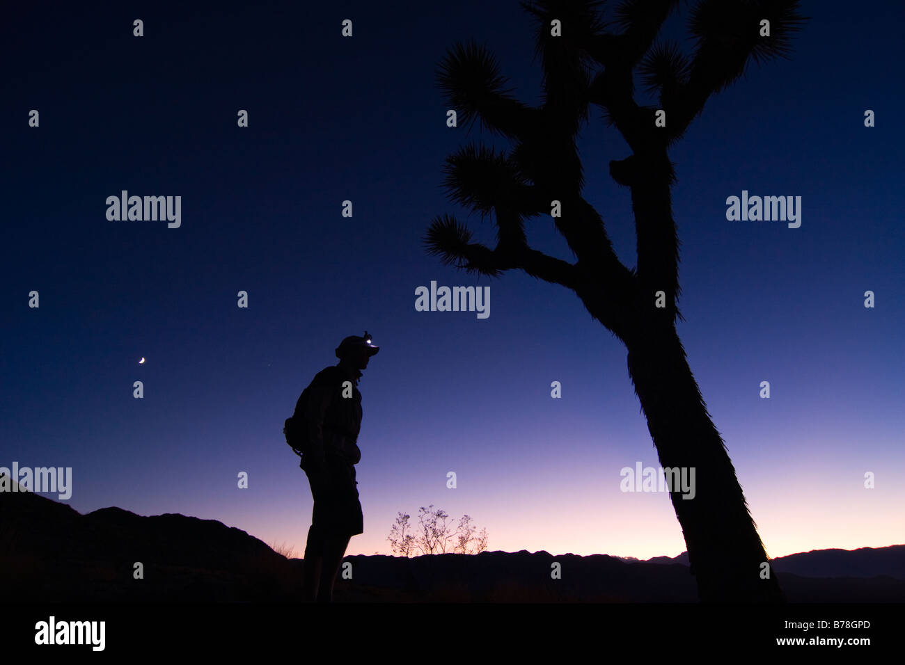 La silhouette d'un homme debout par un Joshua Tree au coucher du soleil près de Lone Pine en Californie Banque D'Images