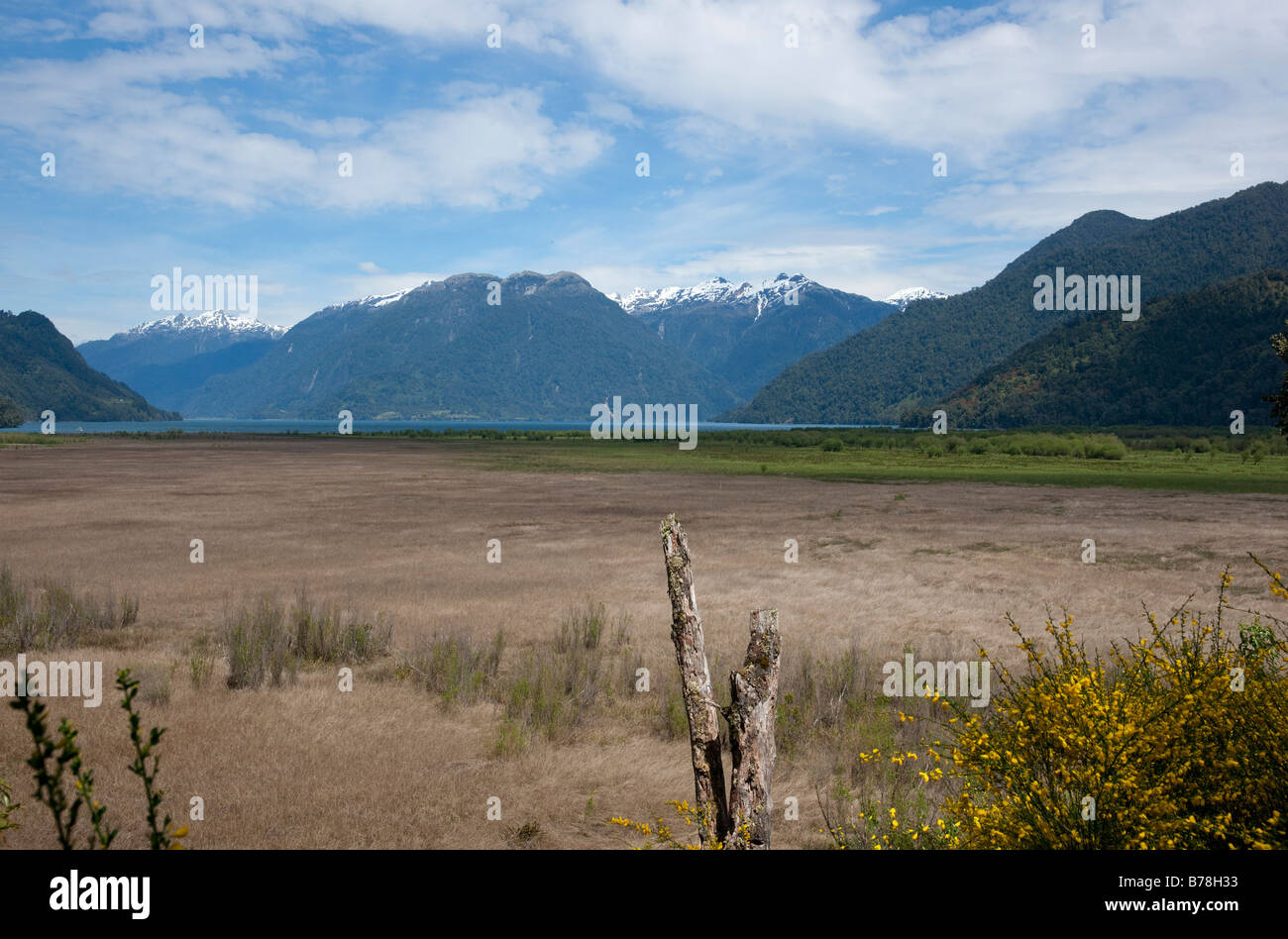 Lago Petrohue vu de Fuka Banque D'Images