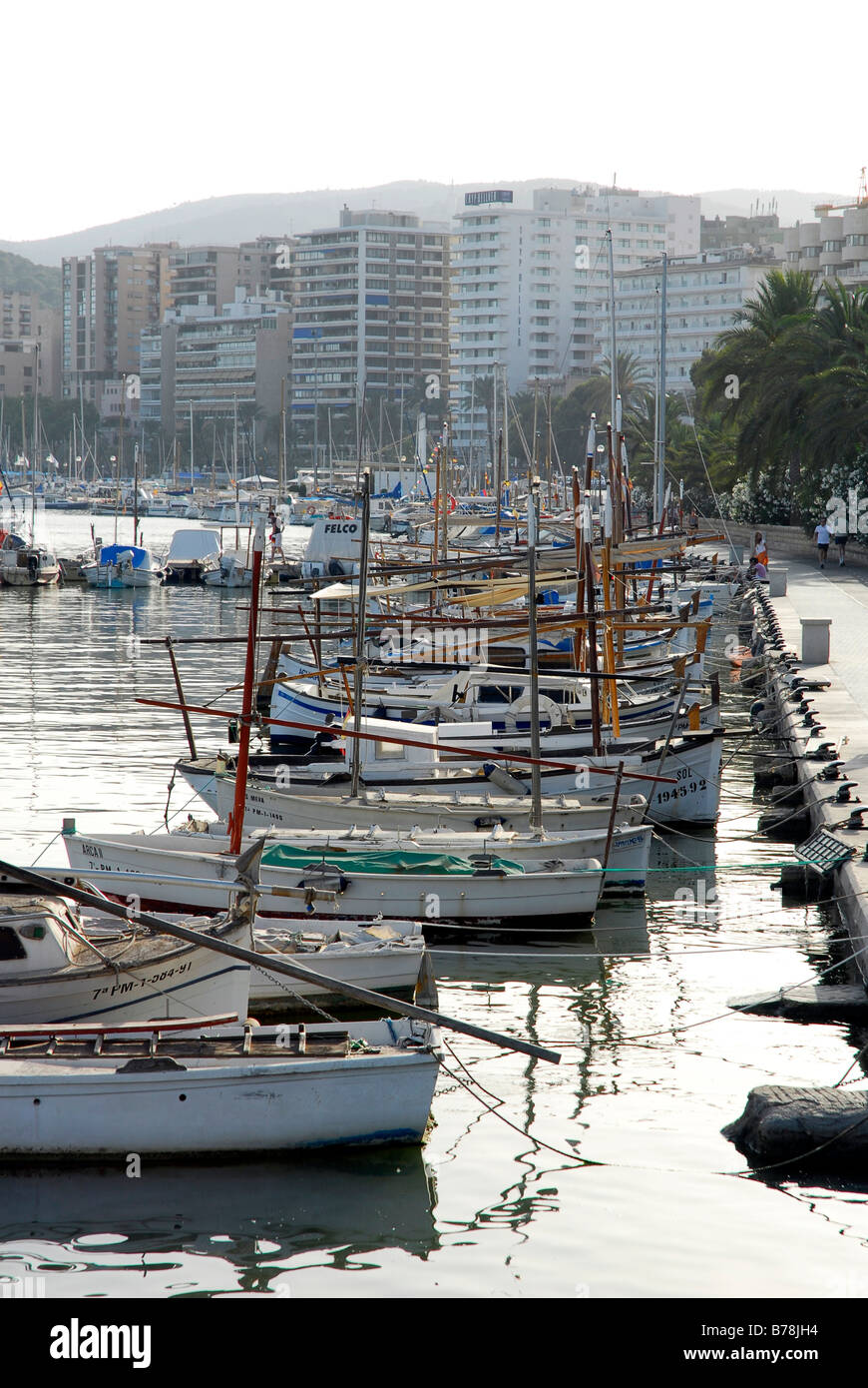 Bateaux de pêche blanche et de voiliers dans le port situé à l'avenue Passeig Maritim, port de Palma, Palma de Mallorca, Majorque, Iles Baléares je Banque D'Images