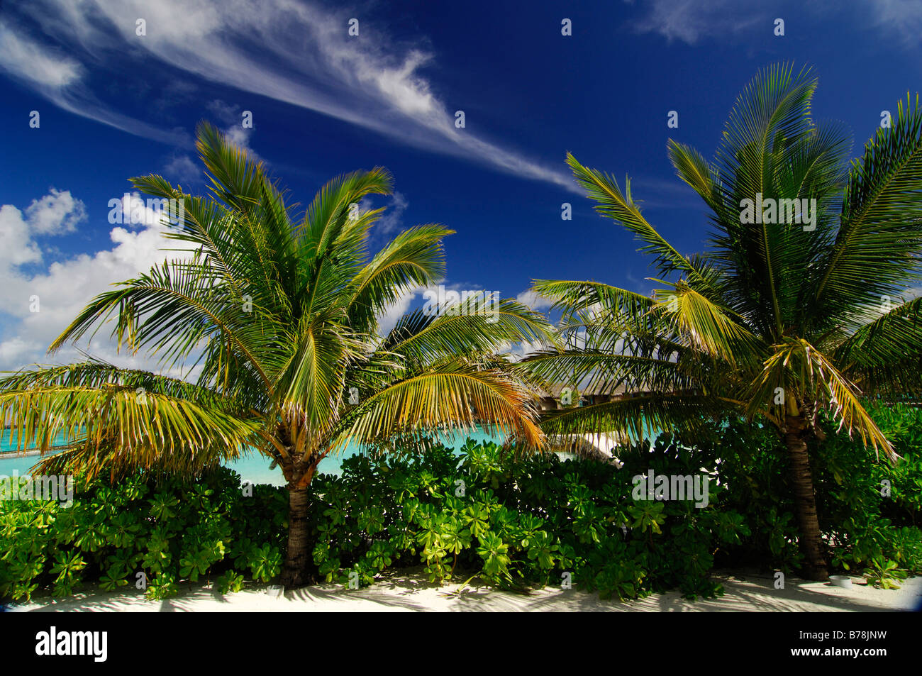 Nuages et palmiers, Full Moon Resort, les Maldives, l'Océan Indien Banque D'Images