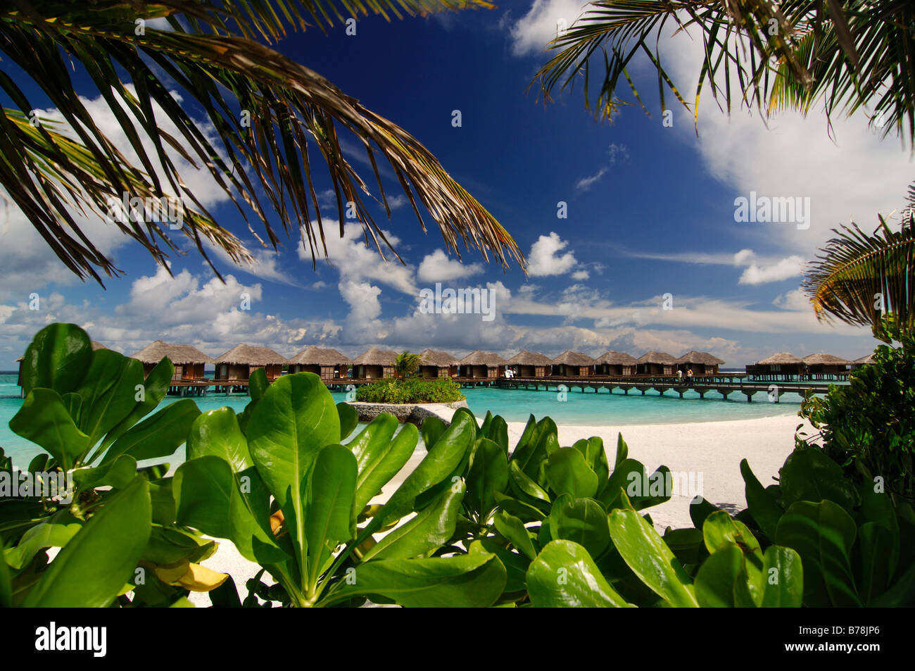 Bungalows sur l'eau, Full Moon Resort, les Maldives, l'Océan Indien Banque D'Images