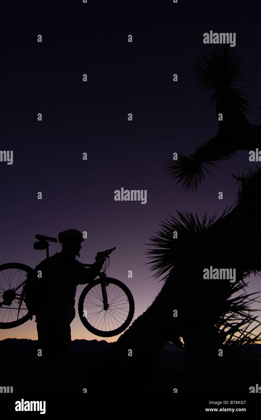 La silhouette d'un motard par un Joshua Tree au coucher du soleil près de Lone Pine en Californie Banque D'Images