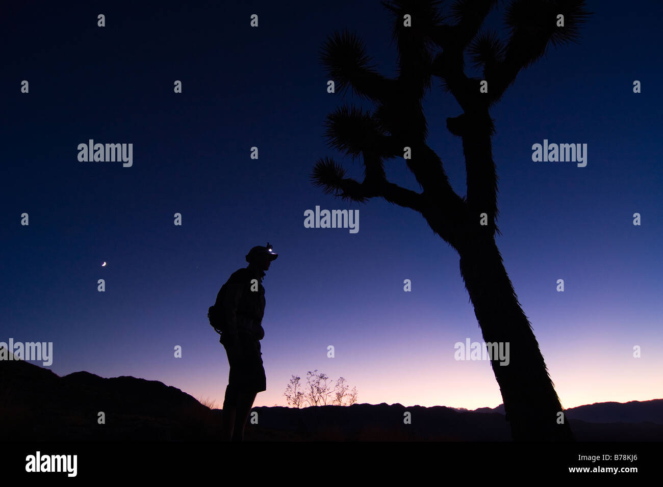 La silhouette d'un homme debout par un Joshua Tree au coucher du soleil près de Lone Pine en Californie Banque D'Images