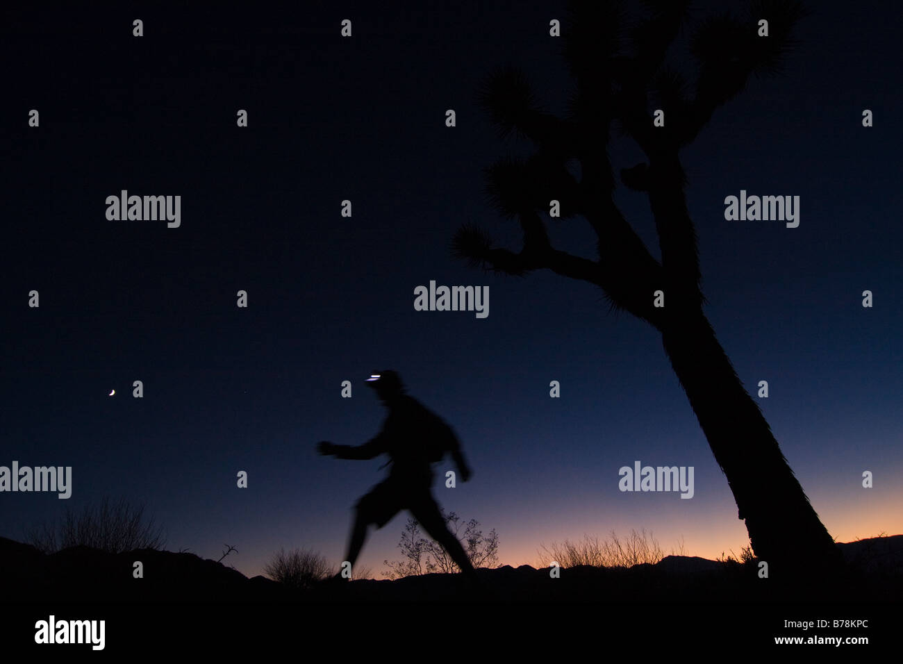 Une silhouette d'un homme de la randonnée par un Joshua Tree au coucher du soleil près de Lone Pine en Californie Banque D'Images