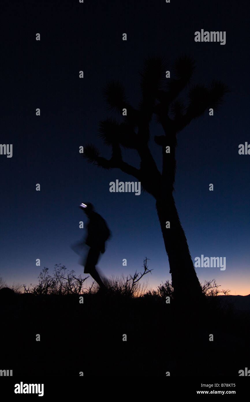 Une silhouette d'un homme de la randonnée par un Joshua Tree au coucher du soleil près de Lone Pine en Californie Banque D'Images