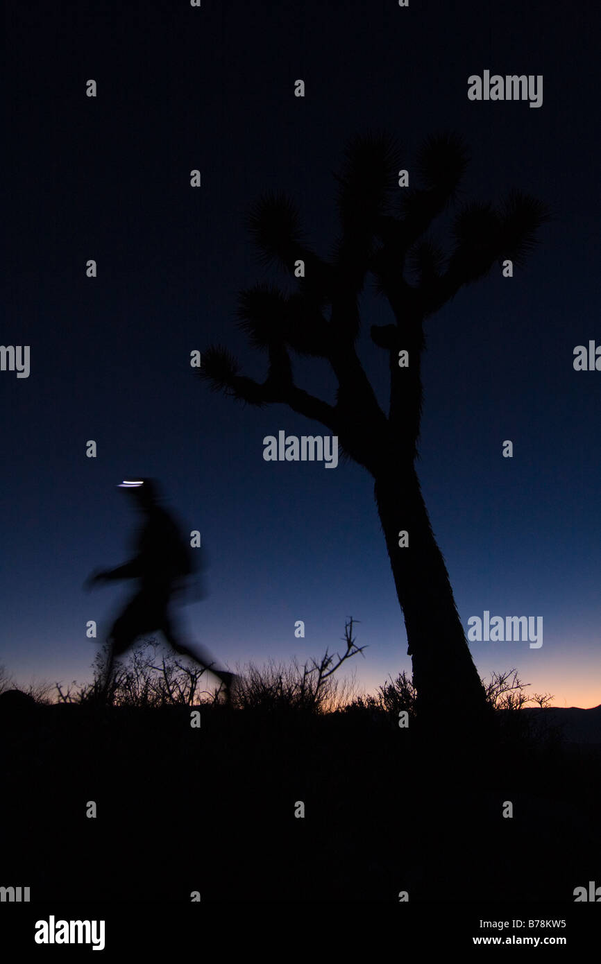 Une silhouette d'un homme de la randonnée par un Joshua Tree au coucher du soleil près de Lone Pine en Californie Banque D'Images