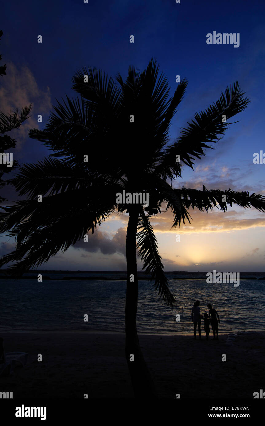 Coucher du soleil et de palmier, Resort Kurumba Maldives, l'Océan Indien, Banque D'Images