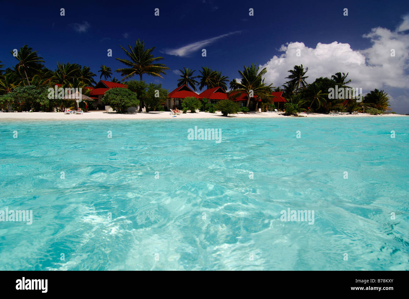 Beach bungalows au Kurumba Resort, les Maldives, l'Océan Indien Banque D'Images