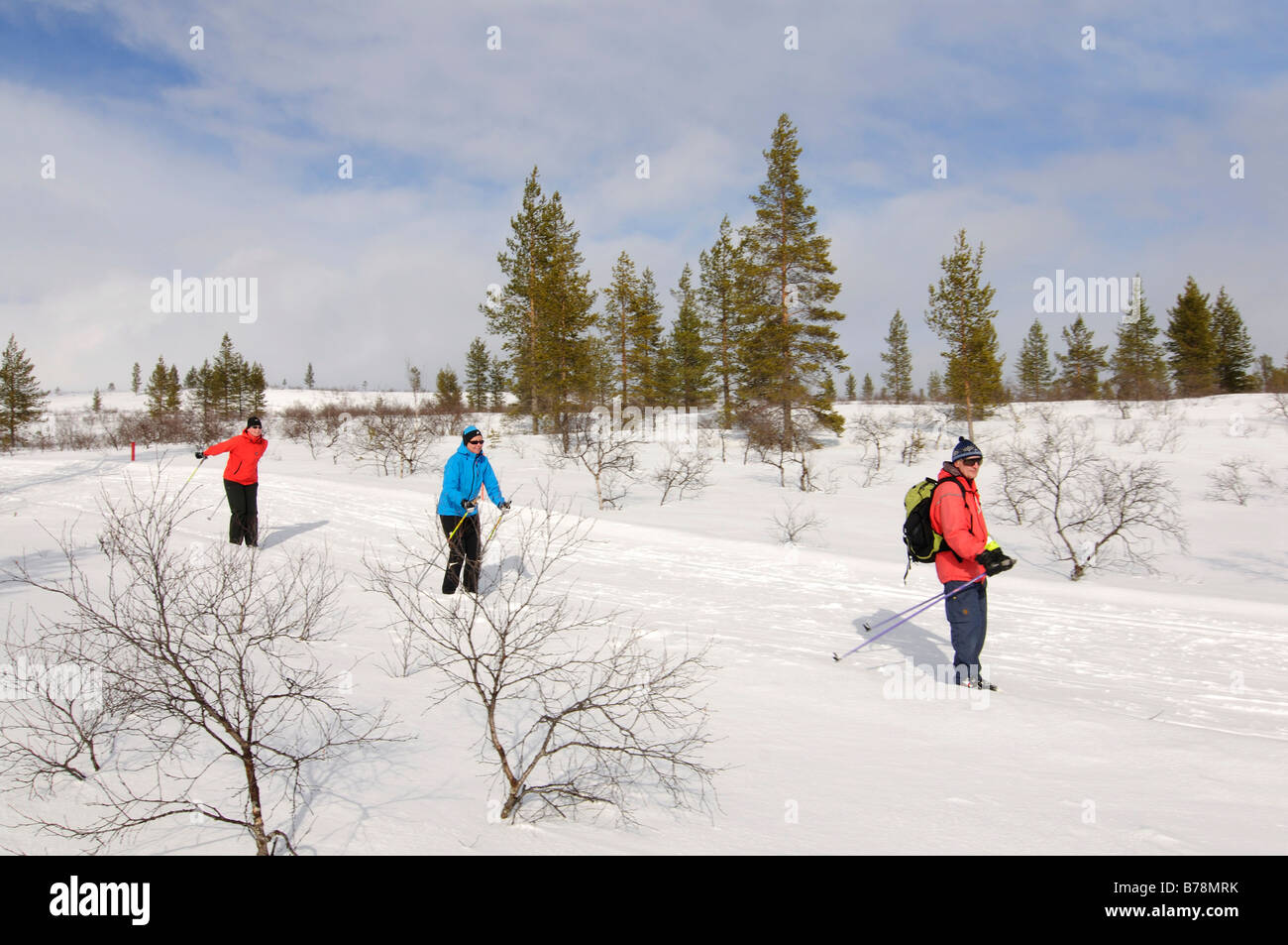 Ski nordique, du ski de fond dans le parc national Urho Kekkonen, Kiilopaeae, Ivalo, Laponie, Finlande, Europe Banque D'Images