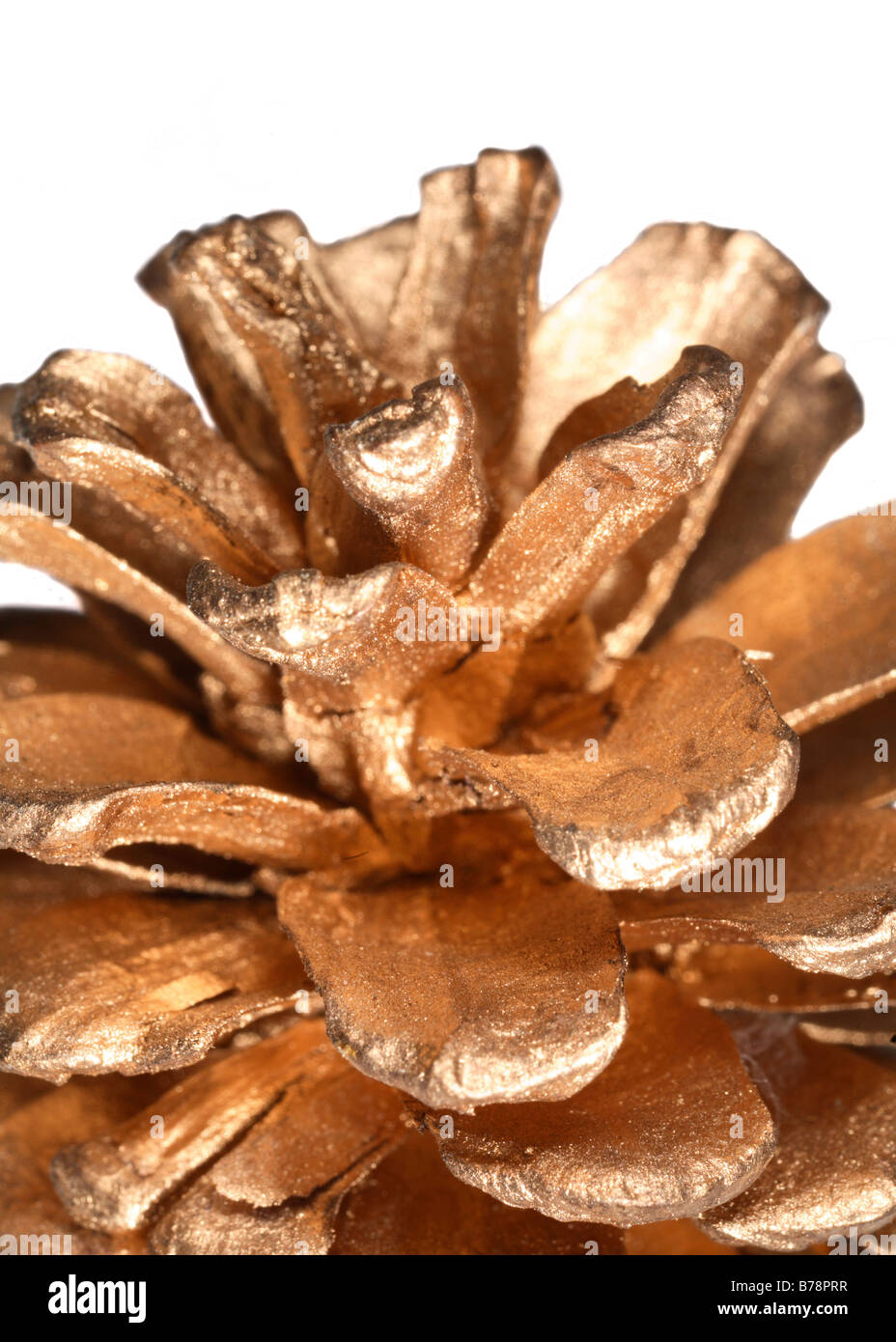 Une fir cone peint l'or comme une décoration de fête, extreme close-up Banque D'Images