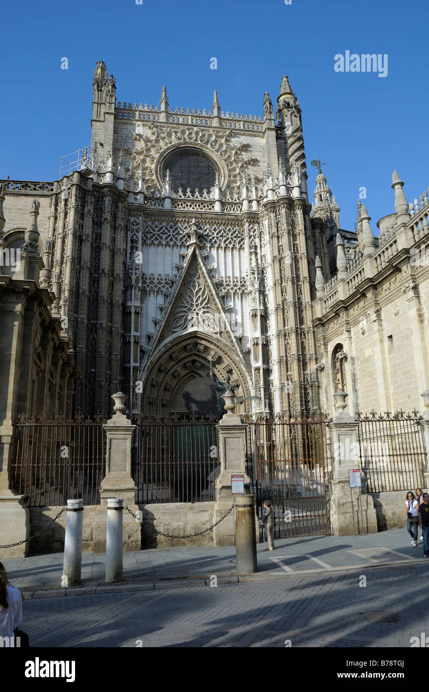 Cathédrale de Santa Maria de la Sede, cathédrale, Séville, Andalousie, Espagne, Europe Banque D'Images
