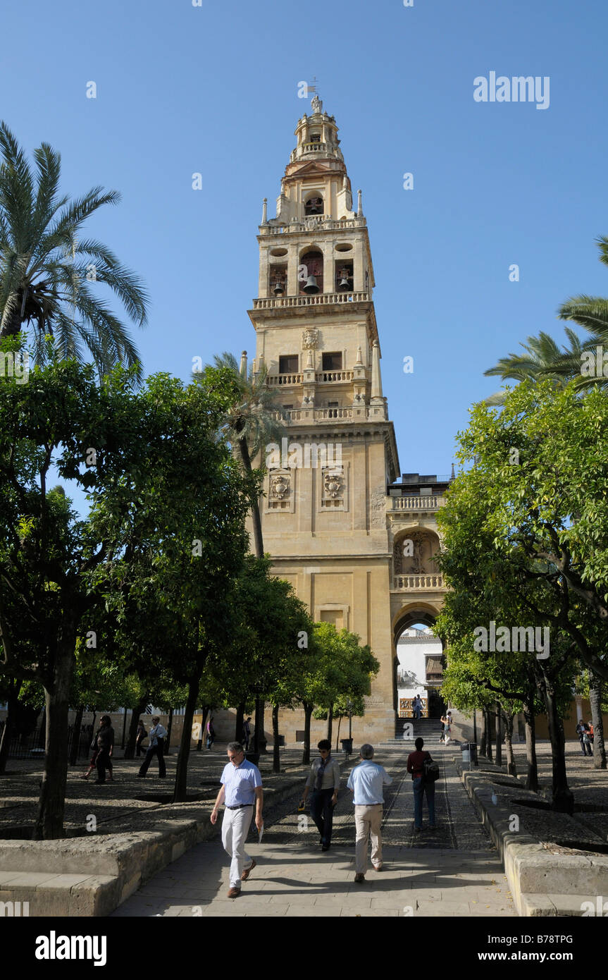 Cathédrale Mezquita, Cordoue, Andalousie, Espagne, Europe Banque D'Images