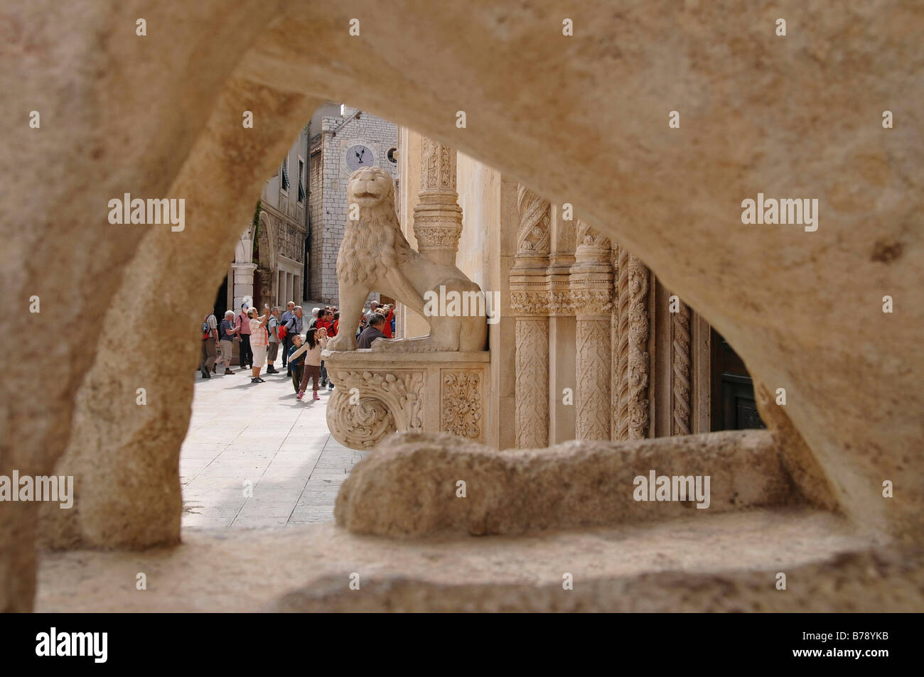 Lion, entrée latérale, Katedrala Sveti Jakov, Cathédrale Saint-Jacques, centre historique, Sibenik, Croatie, Europe Banque D'Images