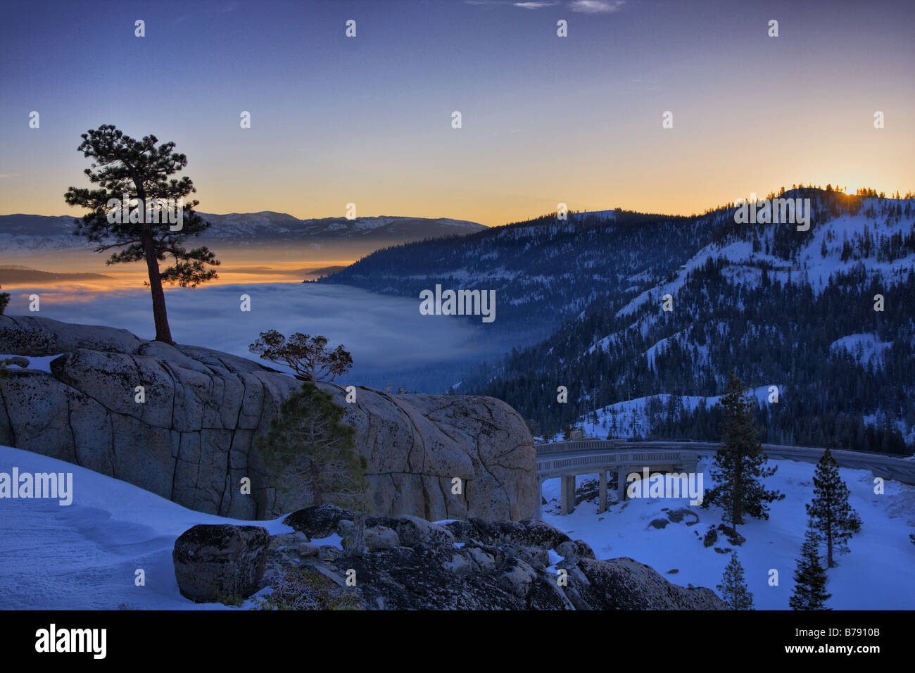 Une silhouette d'un pin au lever du soleil au-dessus d'un lac brumeux Donner en Californie Banque D'Images