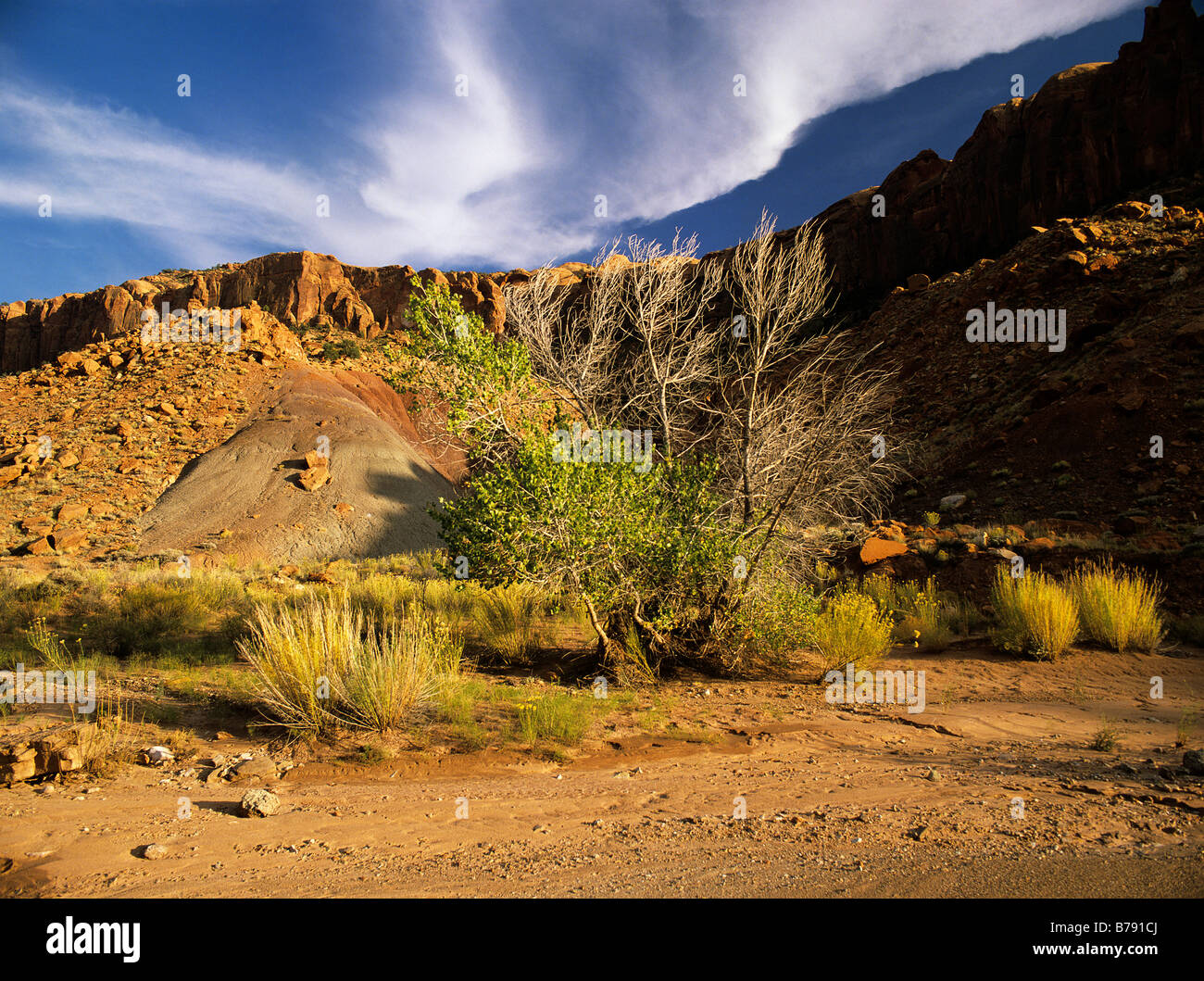 USA, Utah, Glen Canyon NRA. Lavage à sec de Silver Falls Canyon. Banque D'Images