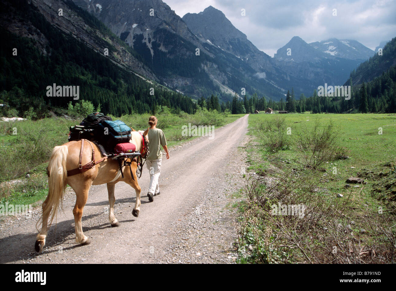 Trekking avec le Haflinger de Karwendel, photographe de la nature au travail, Tyrol du Nord, l'Autriche, Europe Banque D'Images