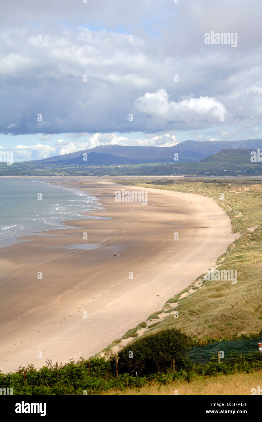 Morfa Réserve naturelle nationale, Harlech Gwynedd, Pays de Galles, Royaume-Uni, Europe Banque D'Images