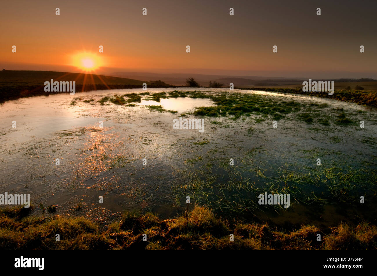 Lever de soleil sur un étang de rosée à Ditchling Beacon, South Downs, Sussex, UK Banque D'Images