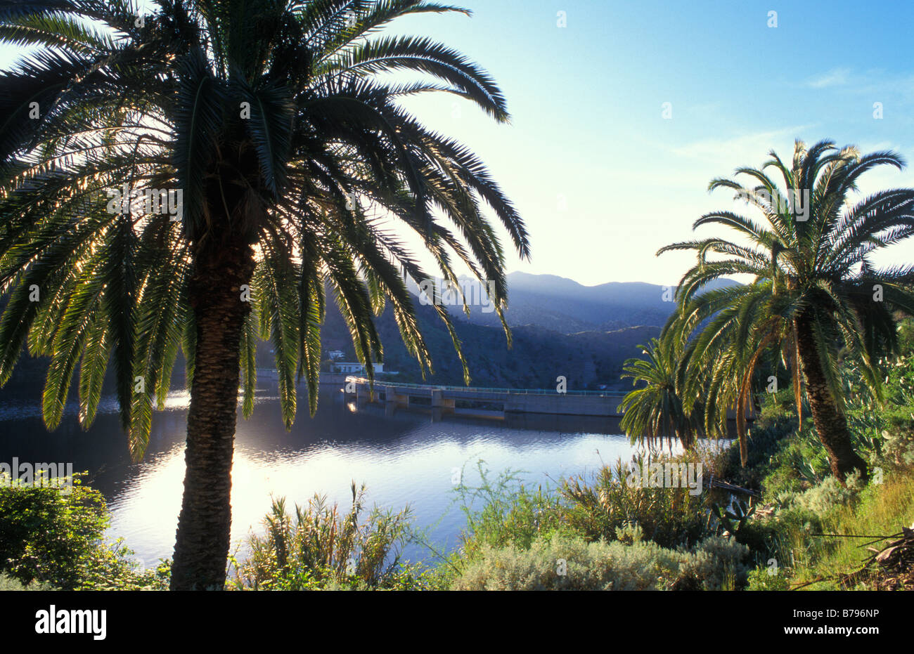 Encantadora, Artfical El Embalse Lake, Barranco del Igenio, vallée latérale de la vallée de Vallehermoso, La Gomera Island, Îles Canaries Banque D'Images