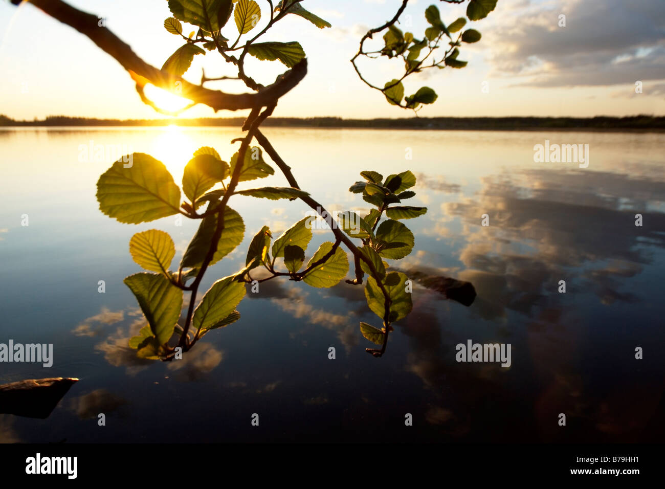 Coucher du soleil au bord du lac, dans l'ouest de la Finlande Banque D'Images