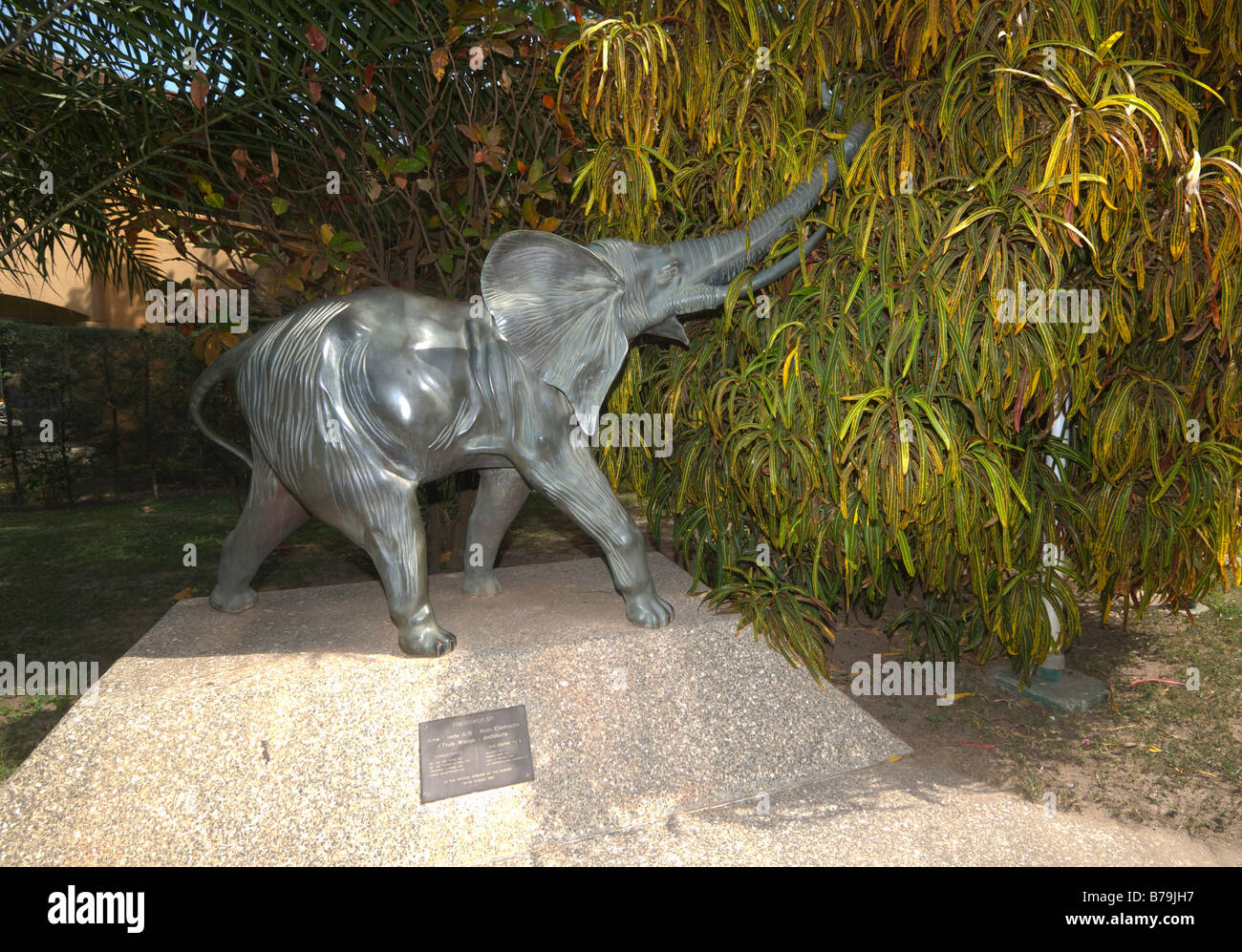 Kairaba Hotel Banjul Gambie Art Animaux Banque D'Images