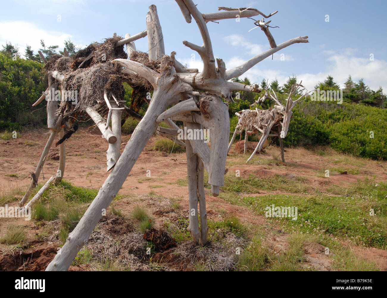 Plage D Orignal Banque De Photographies Et D Images A Haute Resolution Alamy