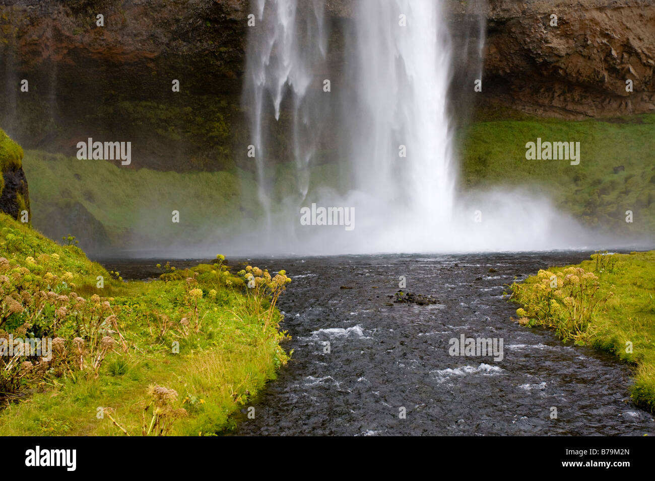 Cascade de Seljalandsfoss Islande Banque D'Images