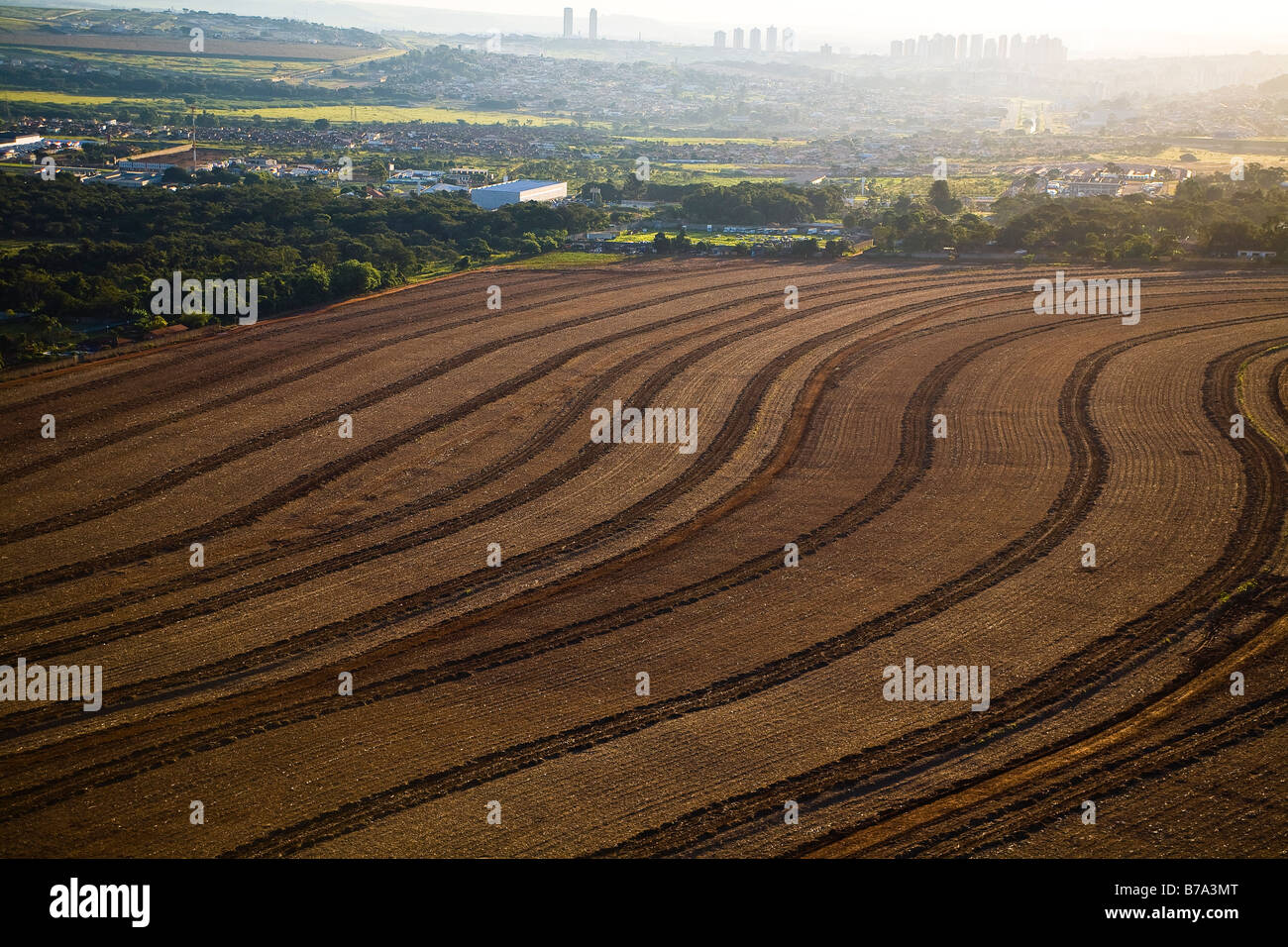 Plantation de canne à sucre biocarburants près de Ribeirao Preto le monde plus grand pôle de production d'éthanol et de sucre de l'État de São Paulo Brésil Banque D'Images