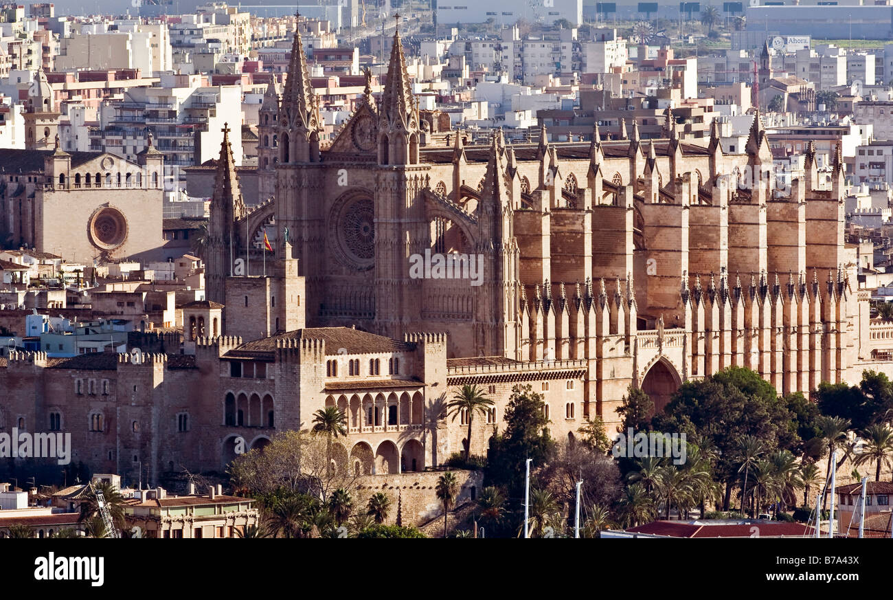 La Seu Cathedral, Palma, Majorque, Îles Baléares, Espagne Banque D'Images