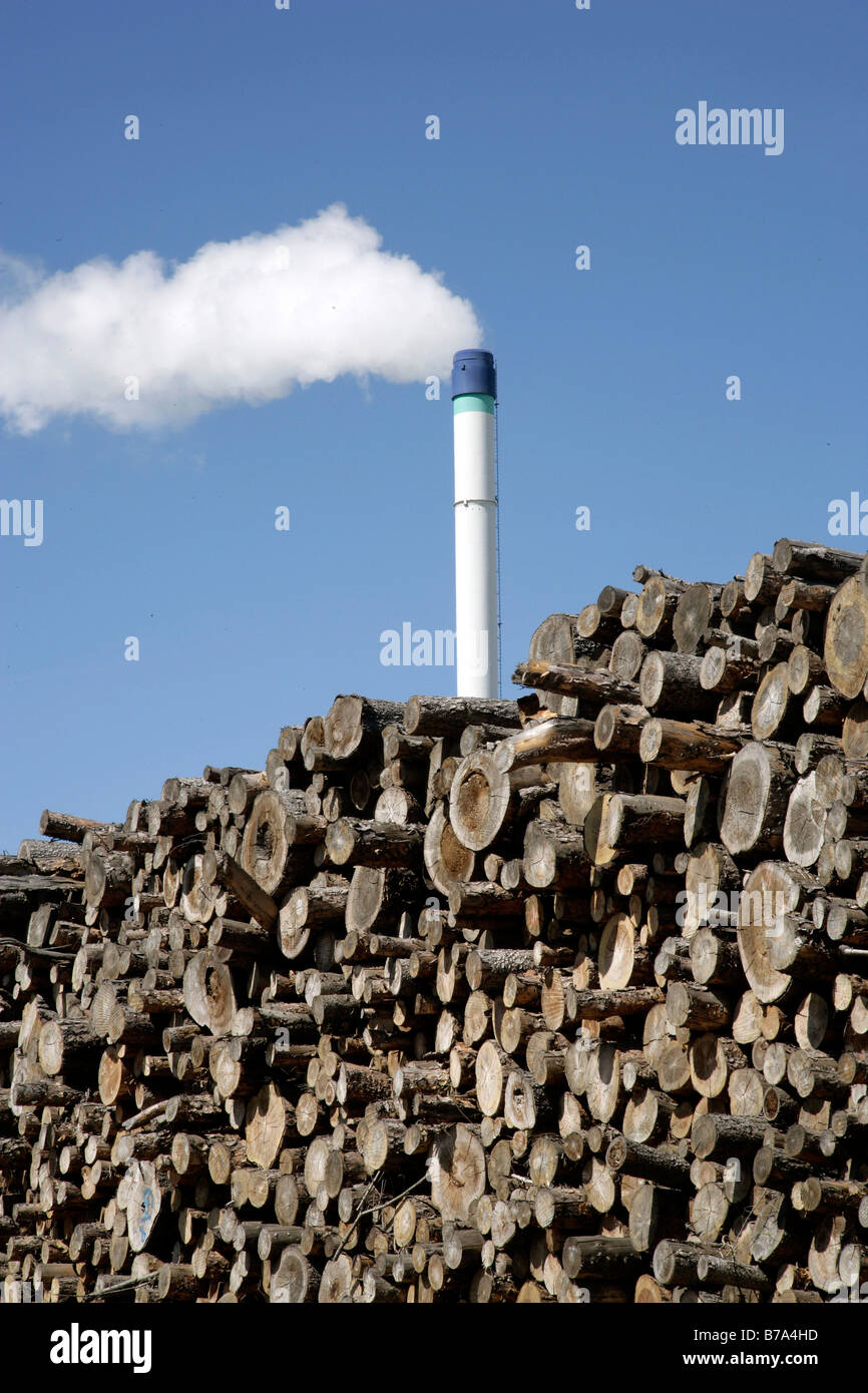 Le bois stocké prêt pour la production de panneaux de particules ou d'aggloméré, à l'usine de production de Pfleiderer AG à Neumarkt, Bavari Banque D'Images