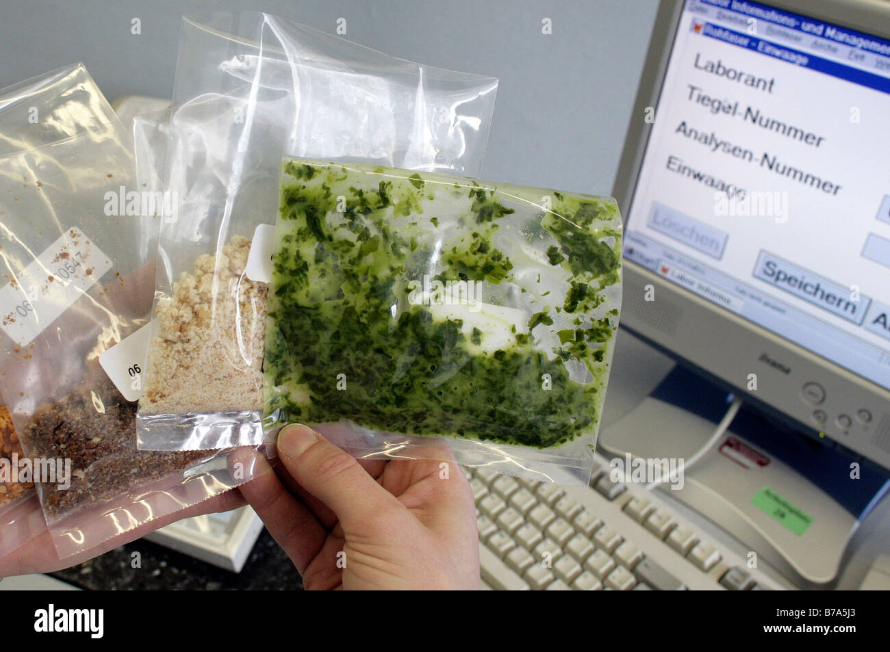 Des échantillons d'aliments en purée décongelée, avant d'être pesés par un technicien de laboratoire, technicien de laboratoire dans un laboratoire de l'assistance technique Banque D'Images