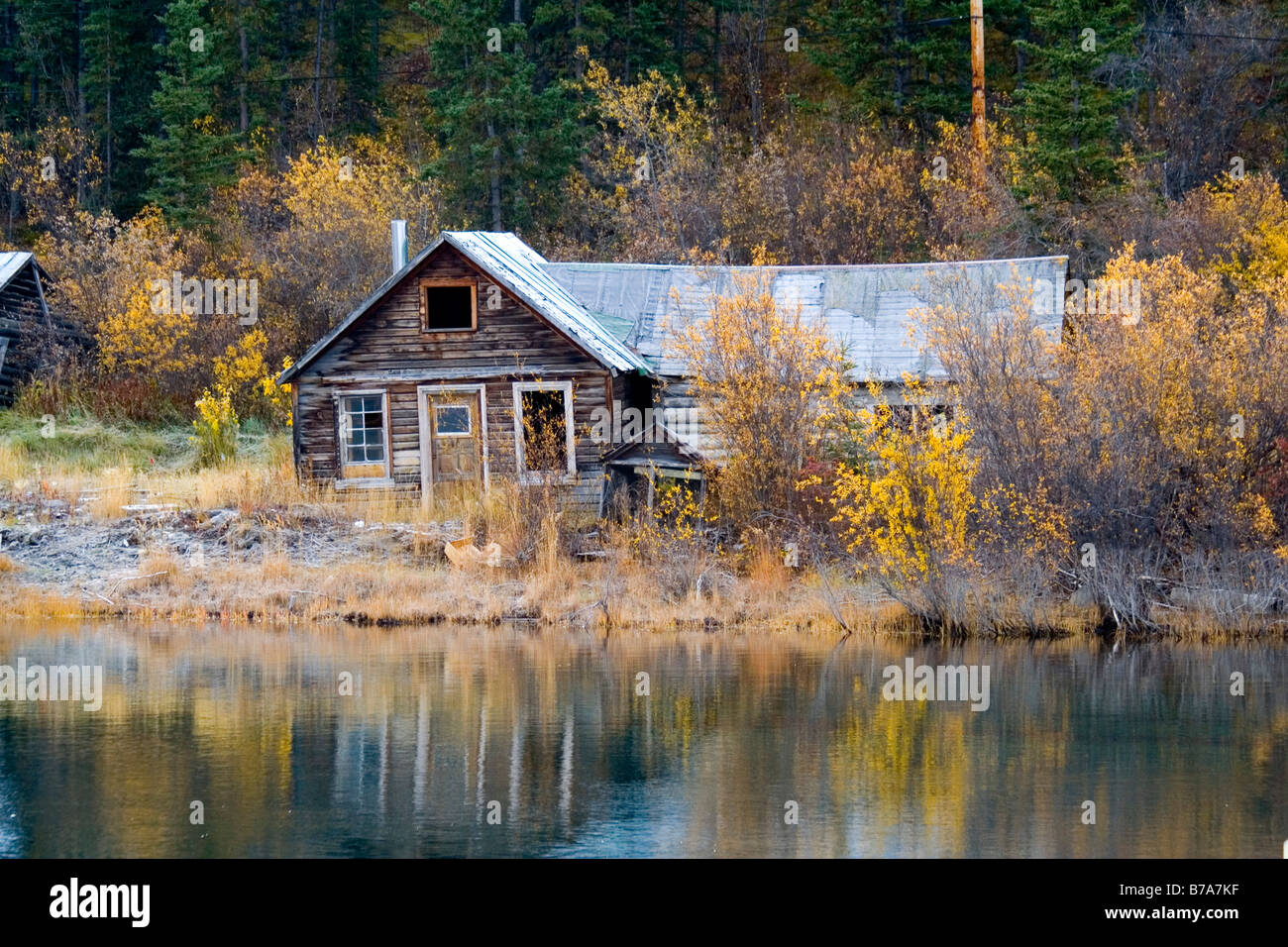 Log cabin historique, l'or du Klondike, Nares Lake, Lake Benett, couleurs d'automne, Carcross, Yukon Territory, Canada, Amérique du Nord Banque D'Images