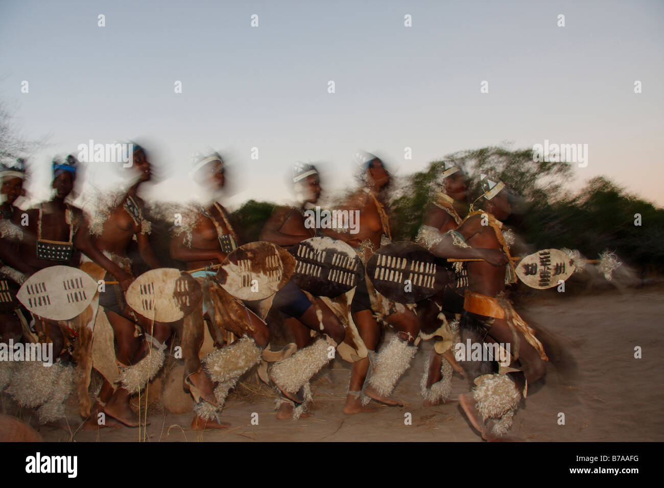 Voir le résumé d'un groupe de danseurs portant Tonga boucliers lors d'une soirée spectacle de danse en plein air Banque D'Images