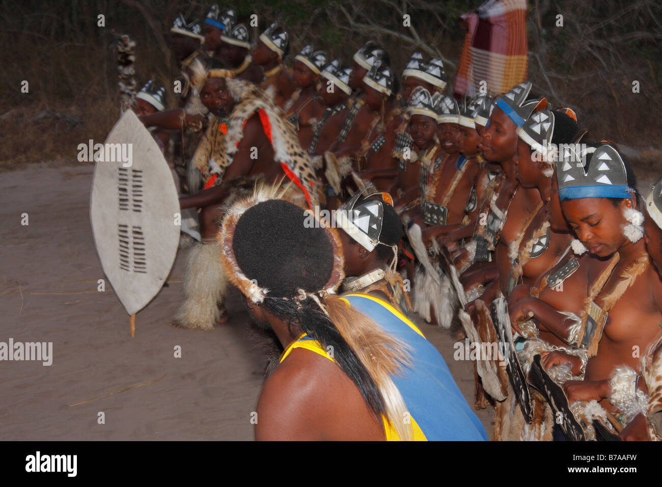Un groupe de danseurs Tonga lors d'une soirée spectacle de danse en plein air pour les touristes Banque D'Images