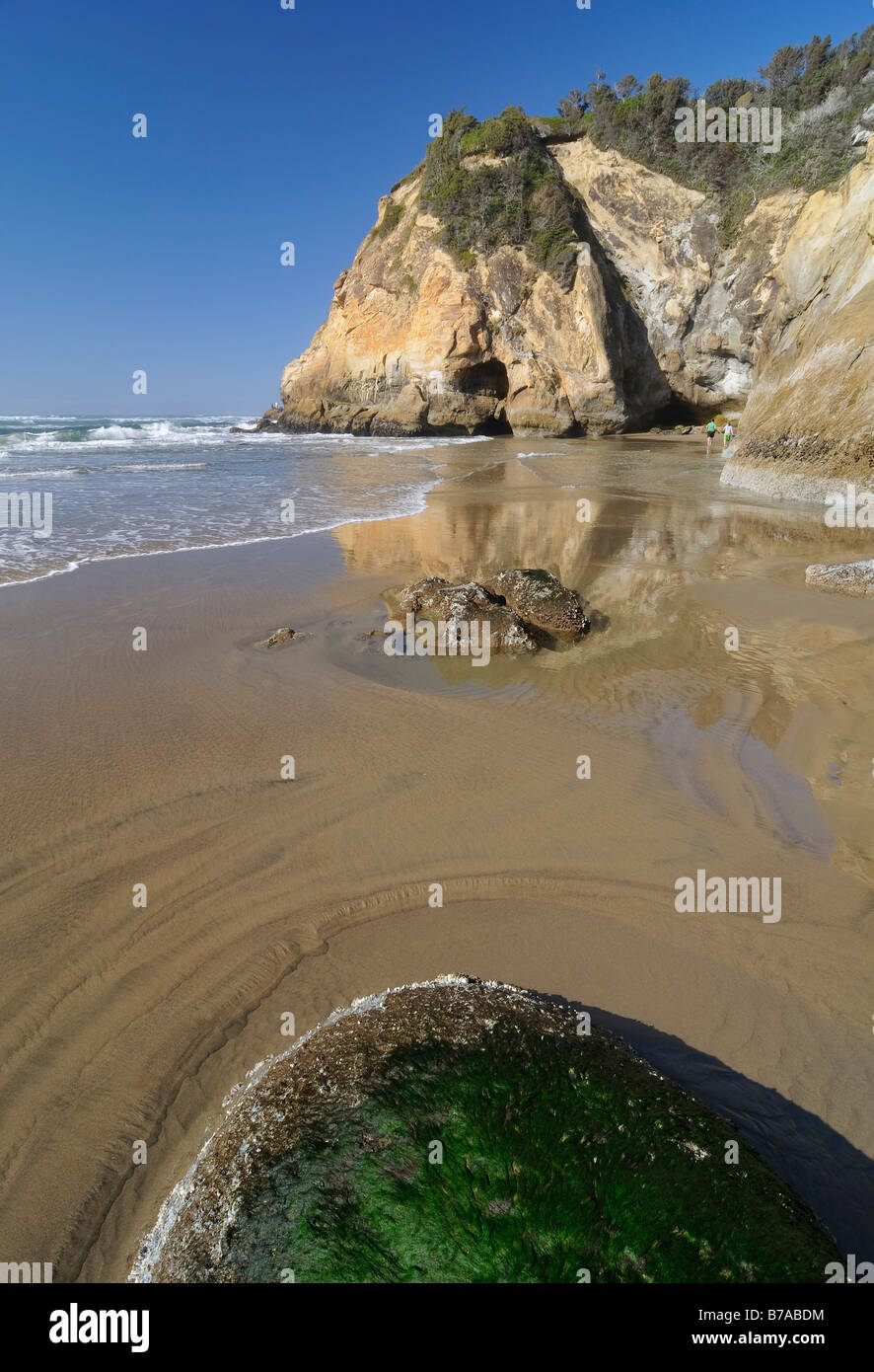 Plage, Parc d'état de Hug Point, Oregon, USA, Amérique du Nord Banque D'Images