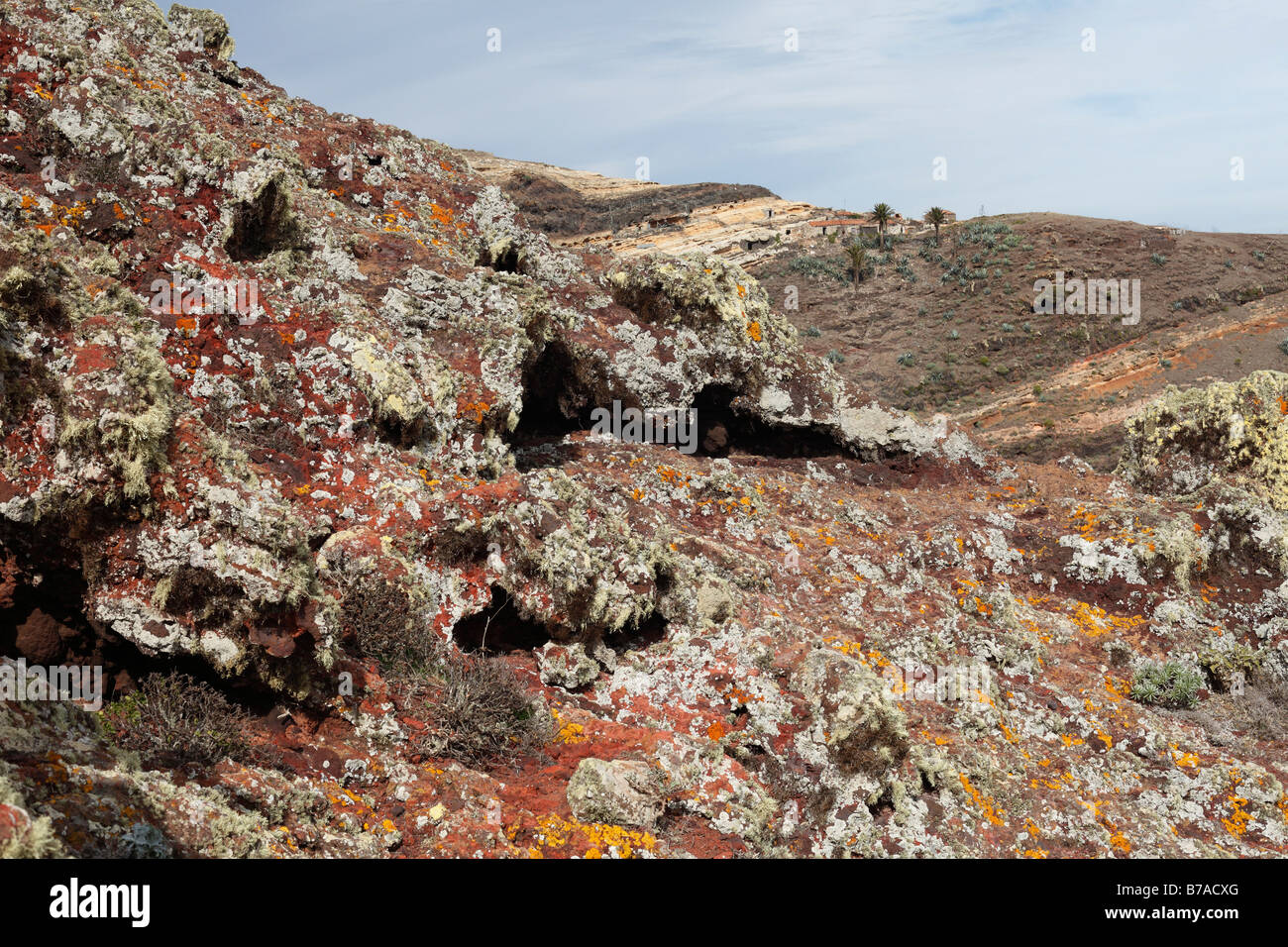 Le lichen sur la pierre de lave, Majona, La Gomera, Canary Islands, Spain, Europe Banque D'Images