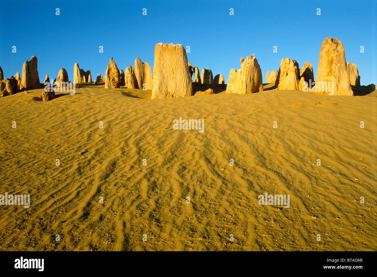 Pinnacle désert dans le Parc National de Nambung, Australie occidentale, Australie Banque D'Images